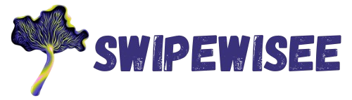 swipewisee.com