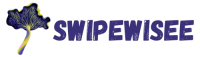 Logo swipewisee.com